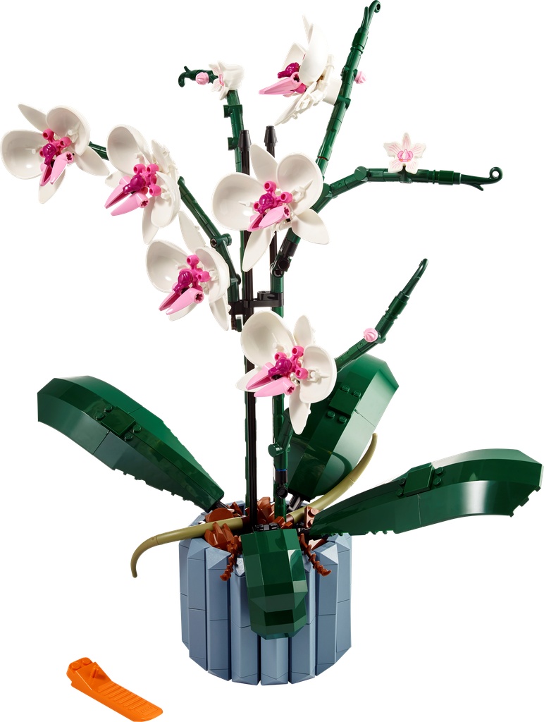 L’orchidée · 10311-1