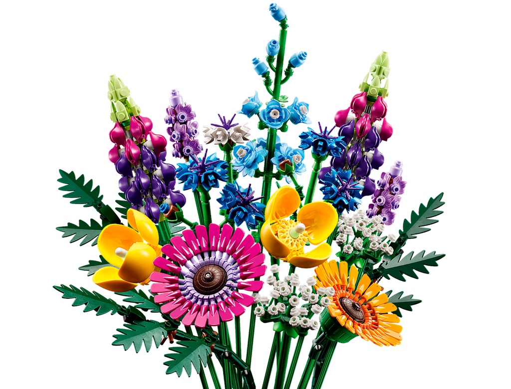 Bouquet de fleurs sauvages