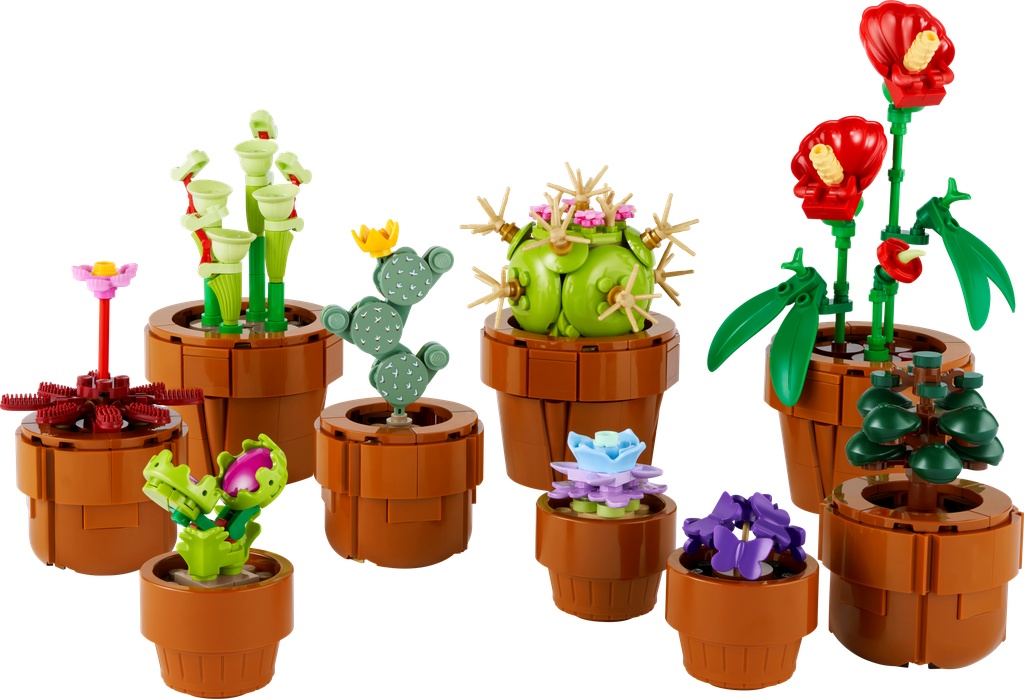 Les plantes miniatures · 10329-1