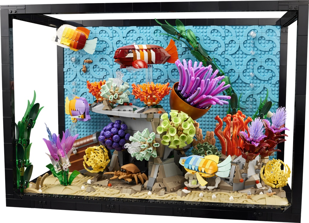 L’aquarium tropical · 10366-1