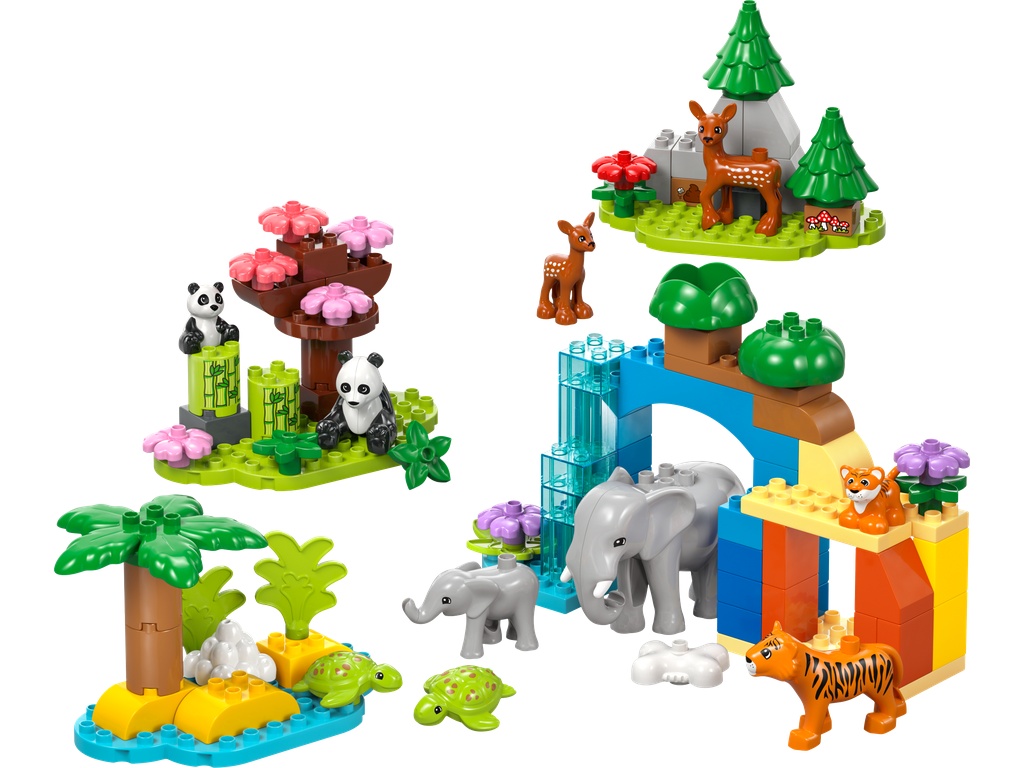 Familles d’animaux sauvages 3-en-1