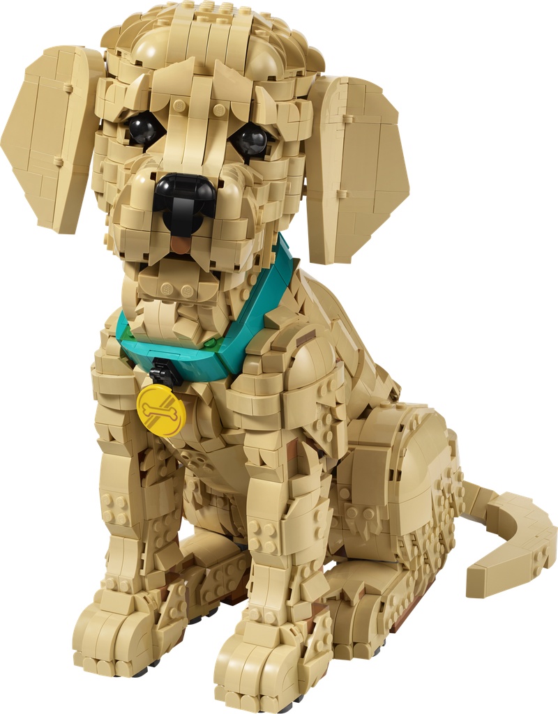 Le chiot Golden Retriever · 11384-1