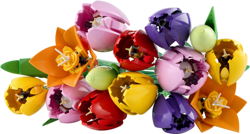 Le bouquet de tulipes · 11501-1