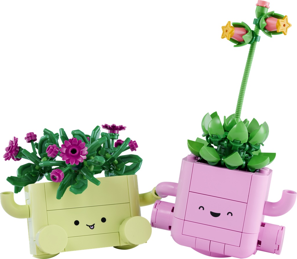 Petites plantes dansantes · 11506-1