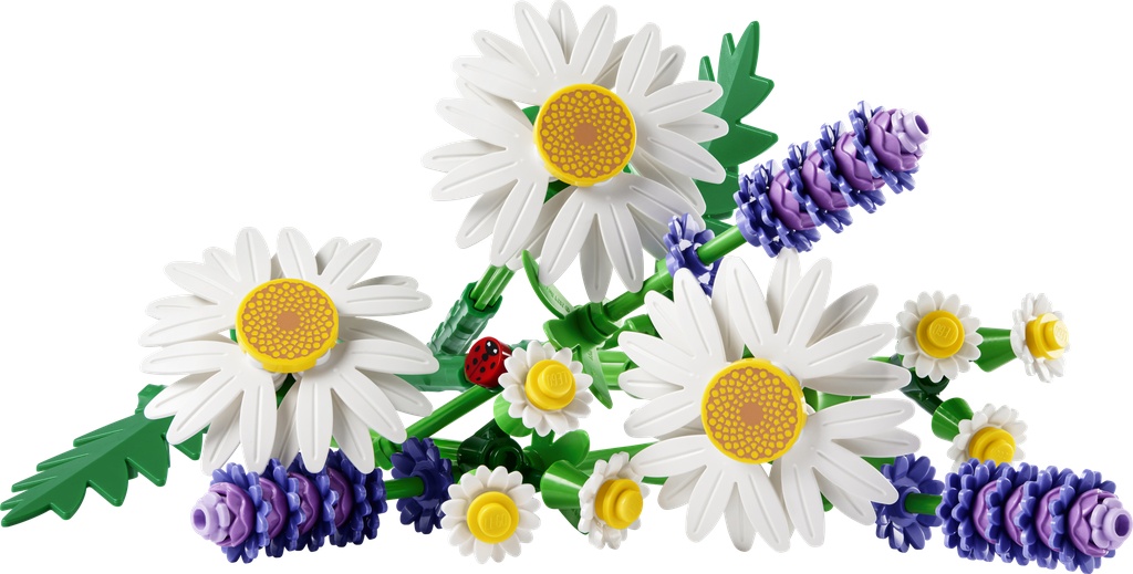 Marguerites · 11508-1