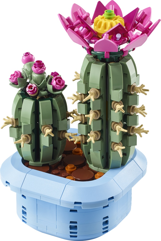 Cactus fleuri · 11509-1