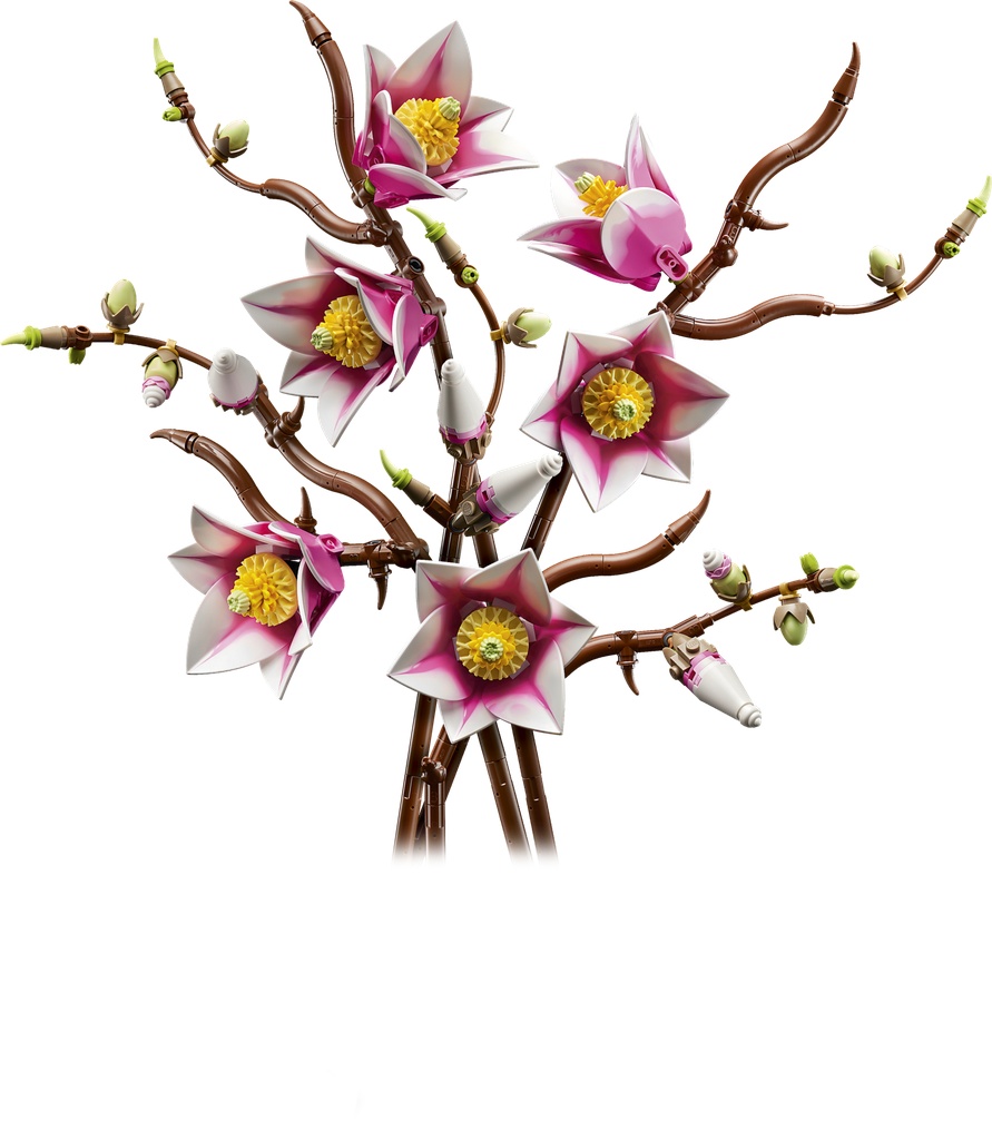 Branches de magnolia