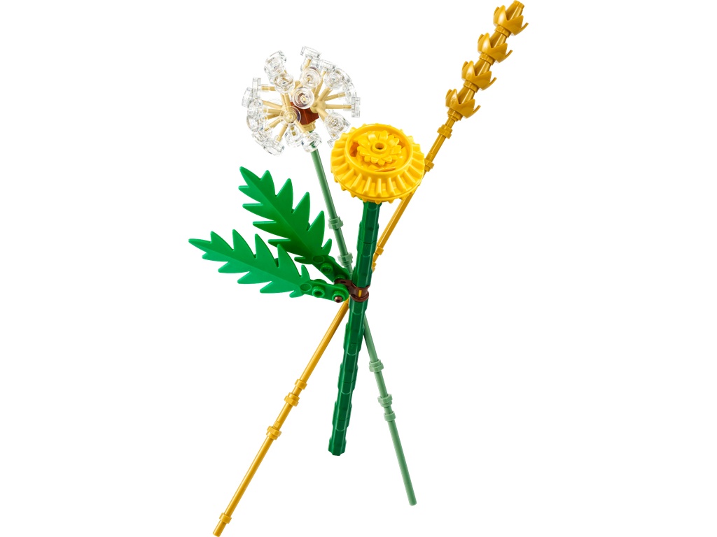 Les fleurs des champs · 30701-1