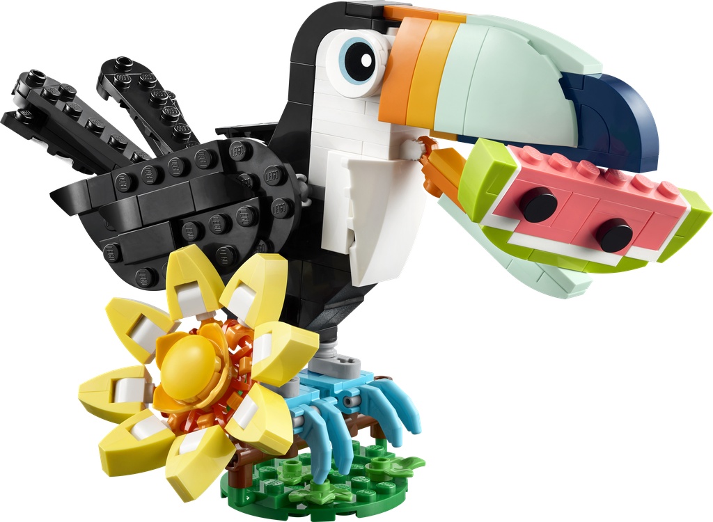 Animaux sauvages : le toucan tropical