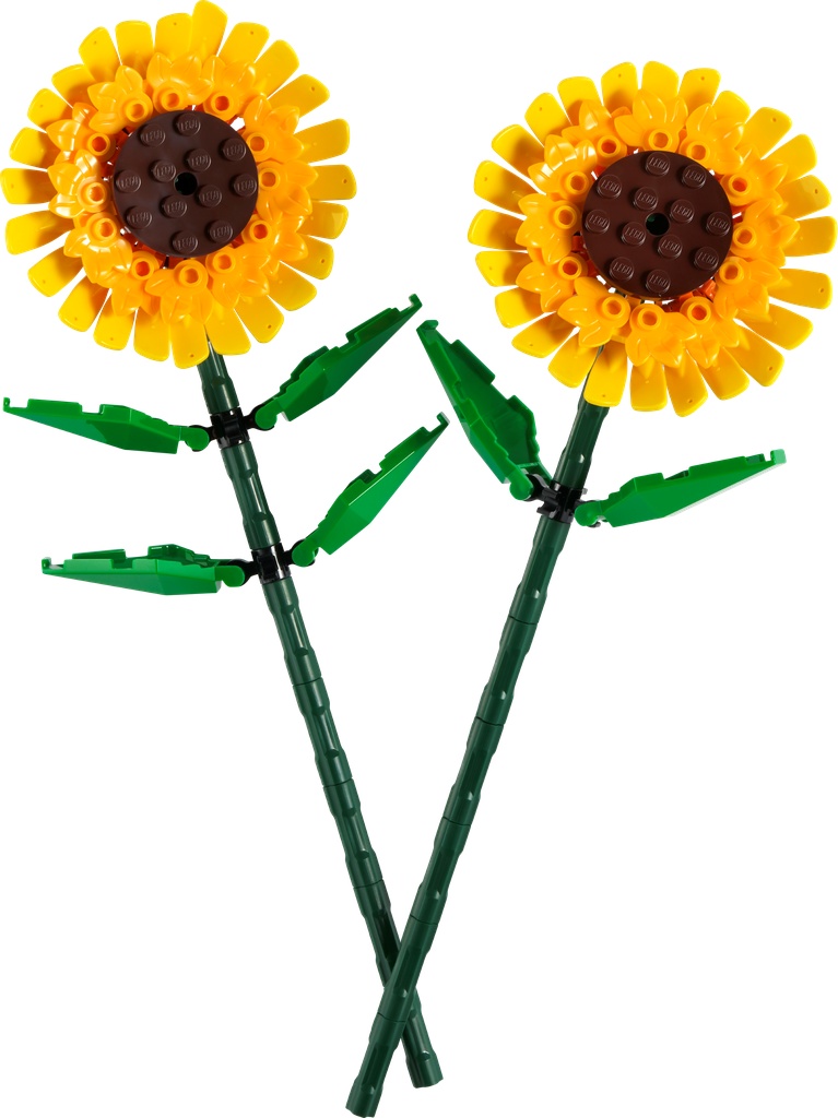 Tournesols · 40524-1