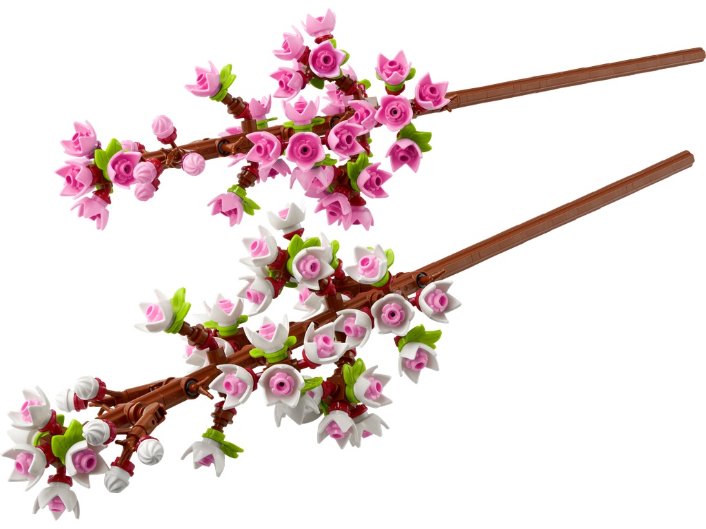 Les fleurs de cerisier · 40725-1