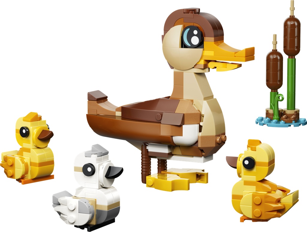 La famille de canards · 40885-1