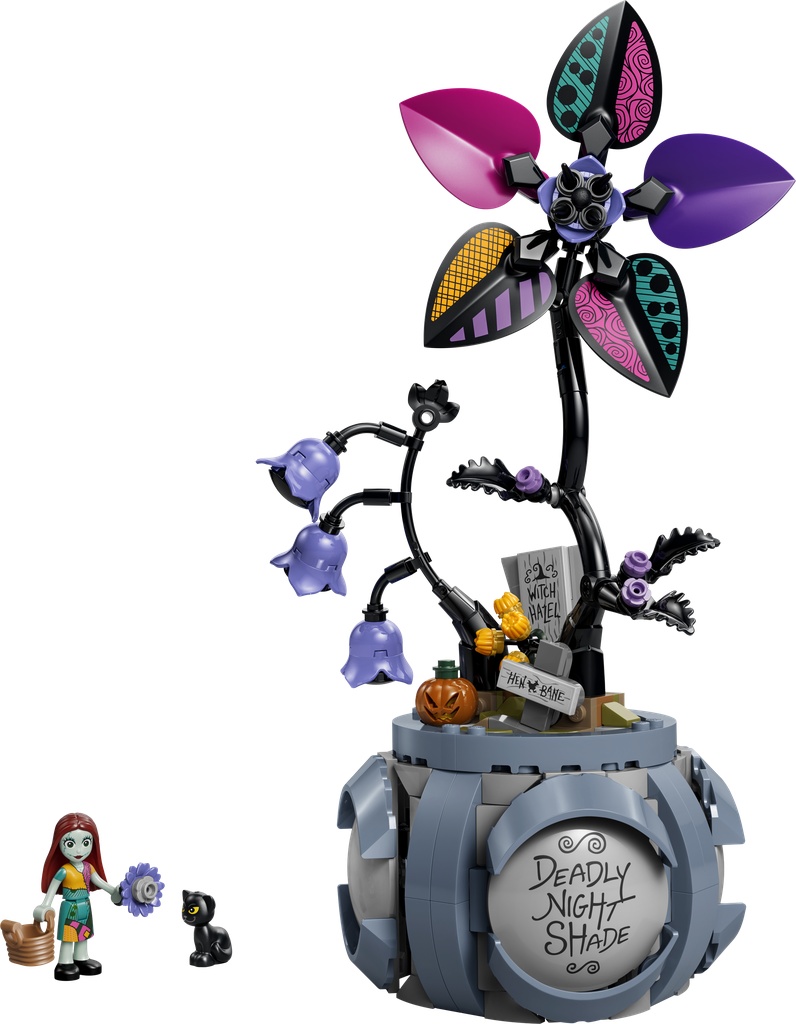 Le pot de fleurs de Sally · 43288-1