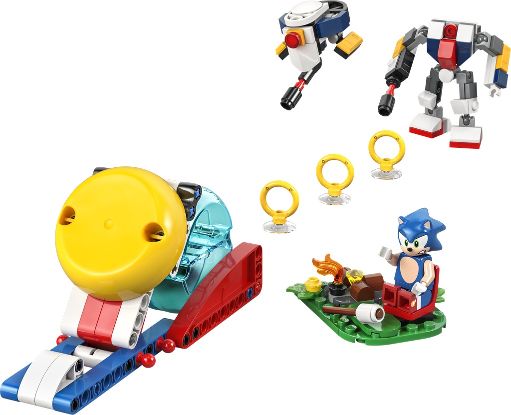 Conflit au feu de camp de Sonic